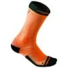 Dynafit Ultra Cushion Sock - Running Socks -Sports Shoes Store dynafit ultra cushion sock running socks